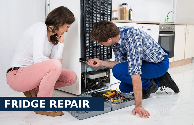 Fridge Repair Addlestone